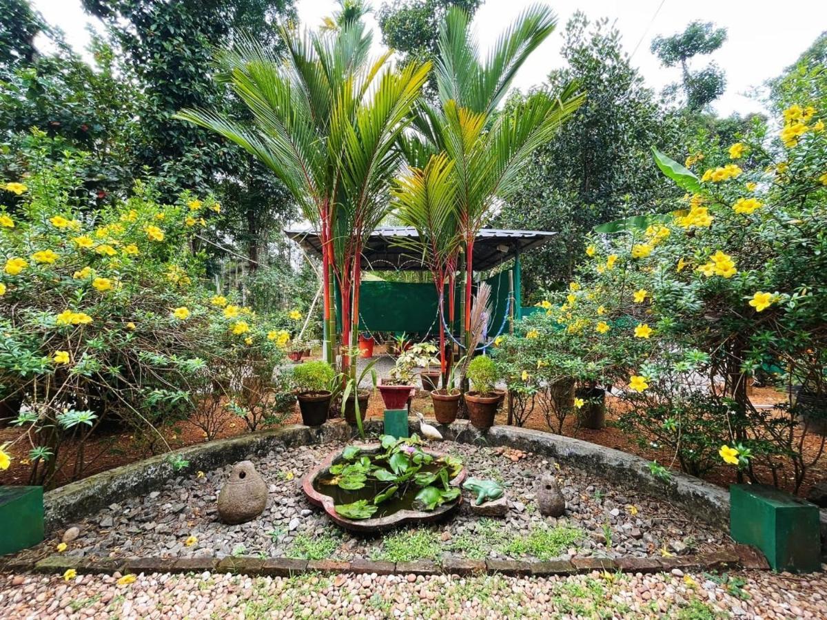 Kuttickattil Gardens Homestay Kottayam Exteriér fotografie