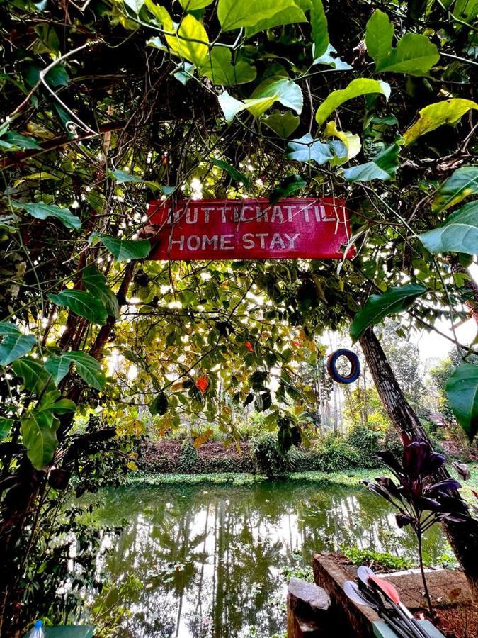 Kuttickattil Gardens Homestay Kottayam Exteriér fotografie