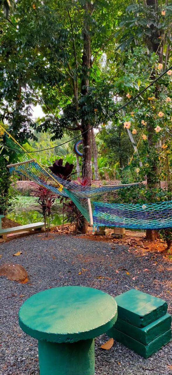 Kuttickattil Gardens Homestay Kottayam Exteriér fotografie