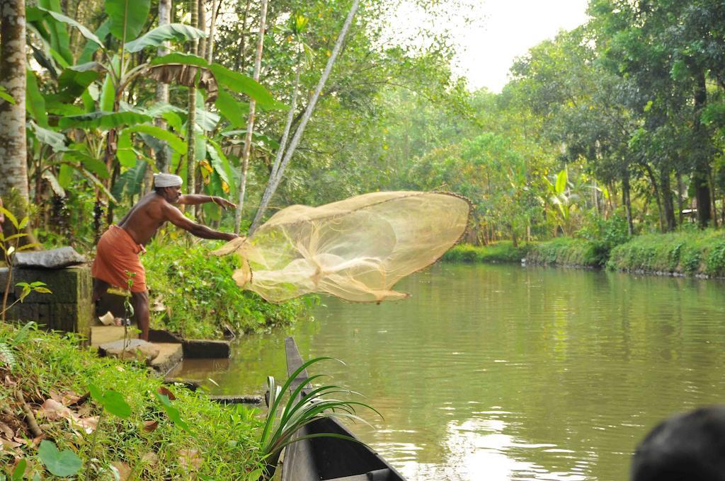 Kuttickattil Gardens Homestay Kottayam Exteriér fotografie