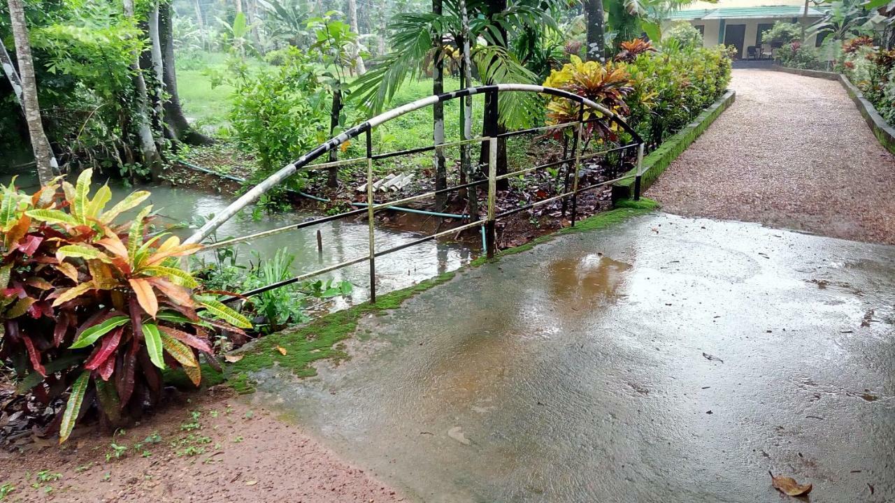 Kuttickattil Gardens Homestay Kottayam Exteriér fotografie